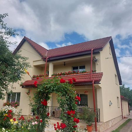 Steaua Nordului Hotel Târgu Neamț Buitenkant foto