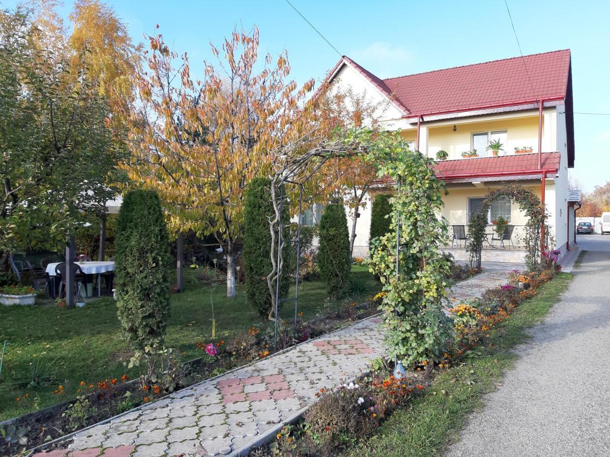 Steaua Nordului Hotel Târgu Neamț Buitenkant foto