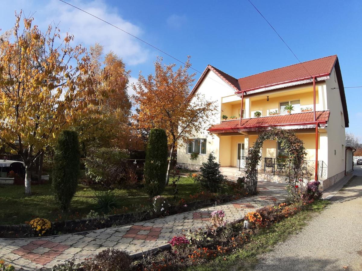Steaua Nordului Hotel Târgu Neamț Buitenkant foto