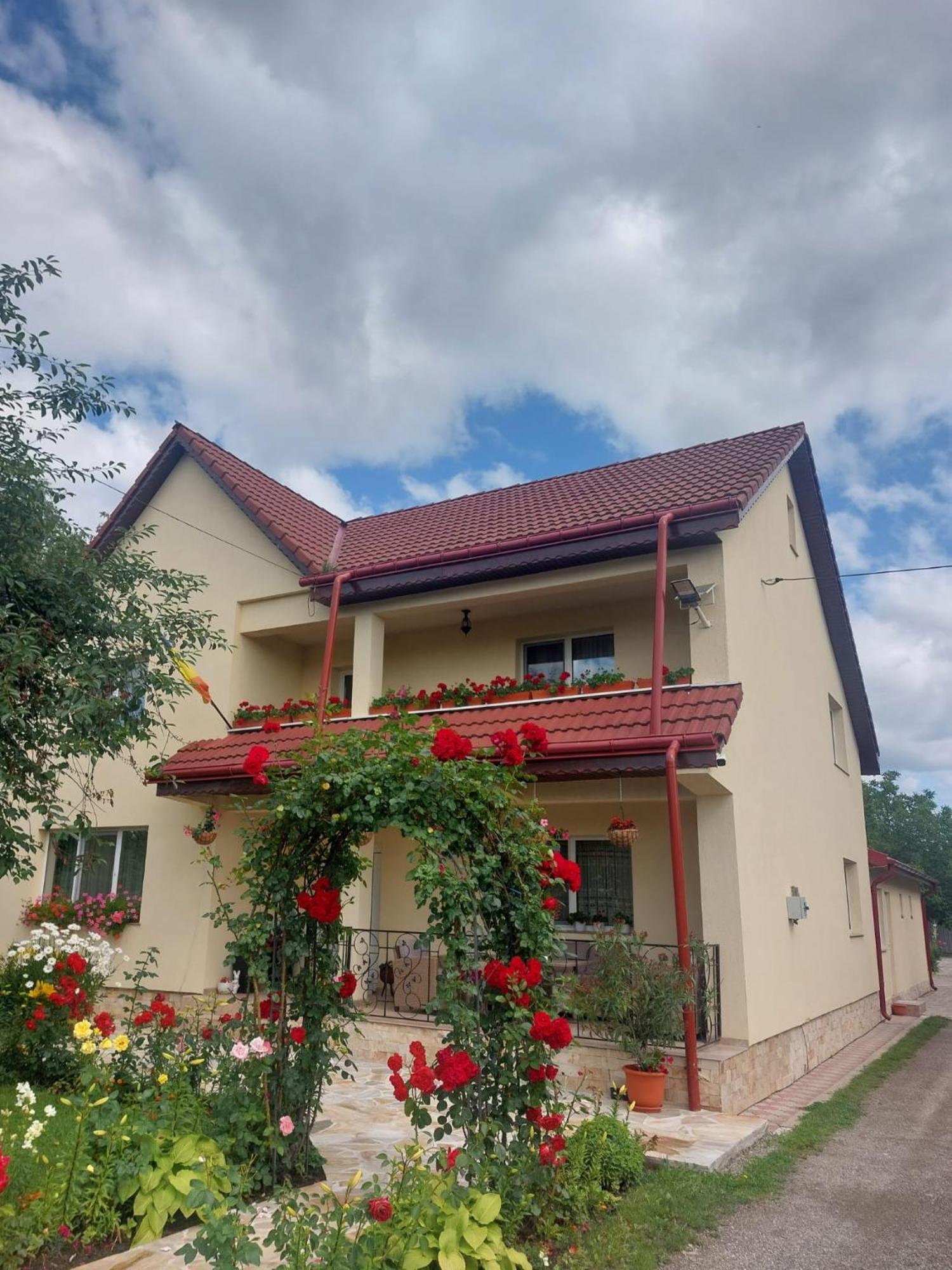 Steaua Nordului Hotel Târgu Neamț Buitenkant foto